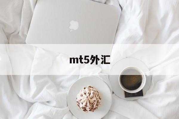 mt5外汇(MT5外汇交易平台)